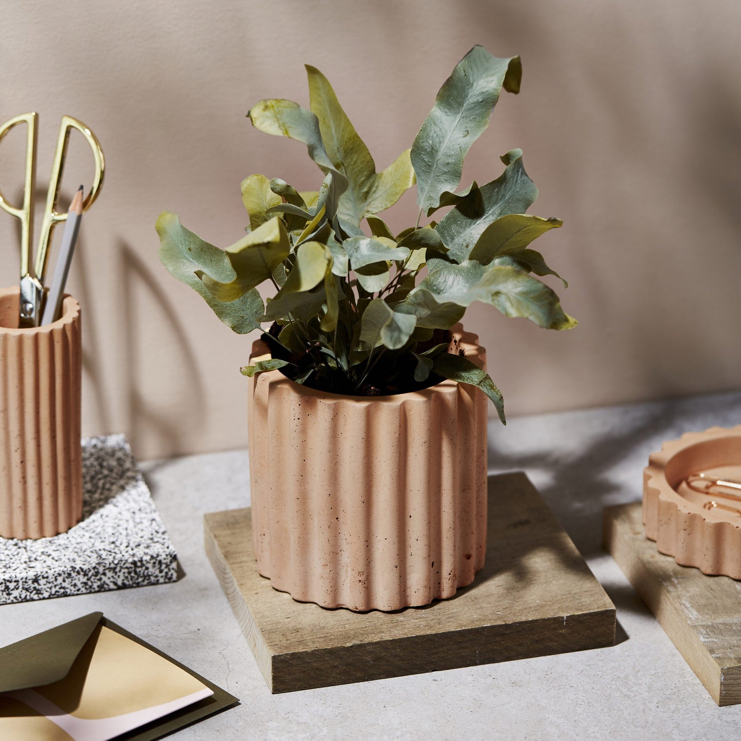 Concrete Plant Pot in Jaffa