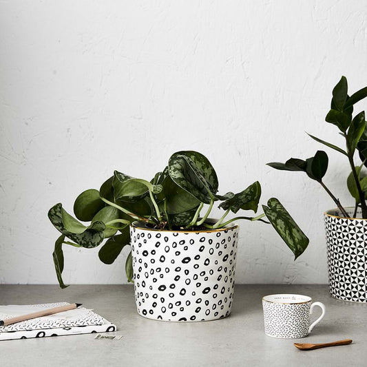 Katie Leamon X Emma Alington