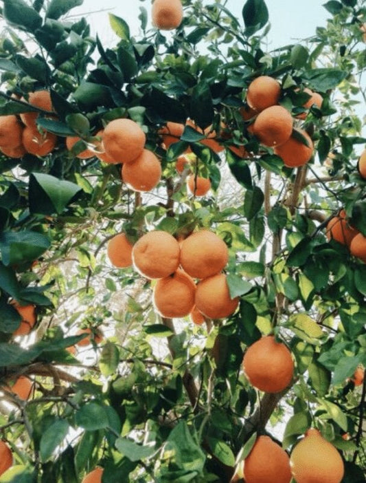 Summer Playlist Vol.III | Katie Leamon Radio