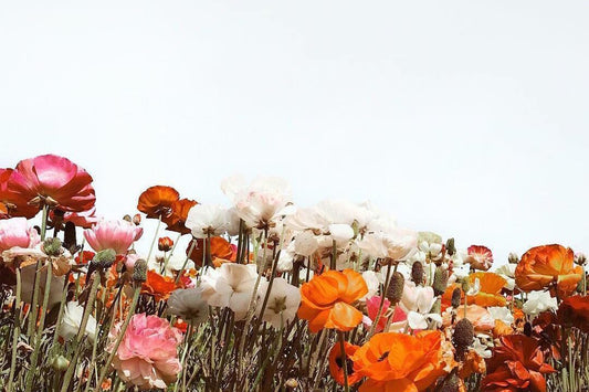 Playlist: Spring Vol.I