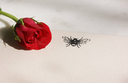 How to Write a Love Letter