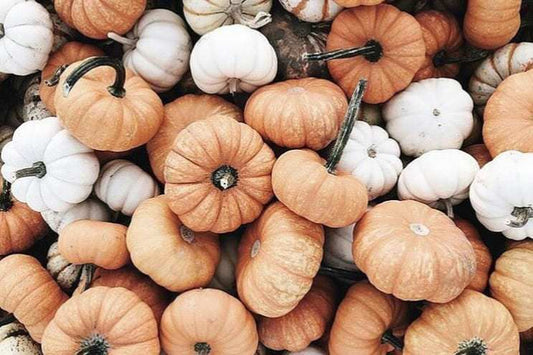 Playlist: Autumn Vol. V - Halloween