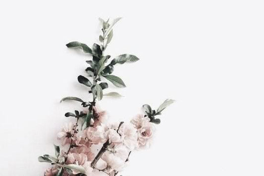 Playlist: 2019 Vol.I - New Year