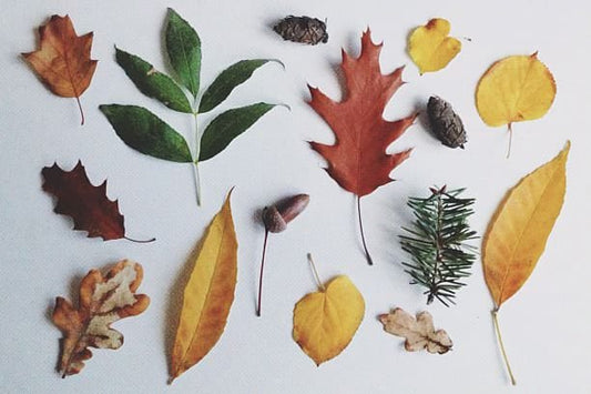 Playlist: Autumn Vol.VI - 1998