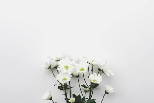 Playlist: 2019 Vol.IV - Short but sweet