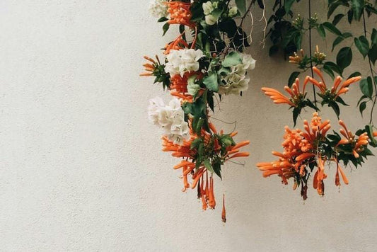 Playlist: Summer Vol.I