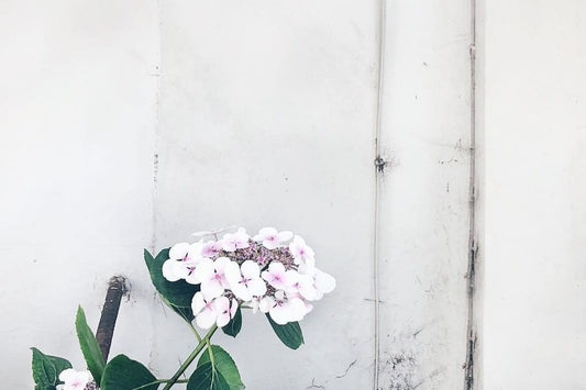 Playlist: Summer Vol.IV