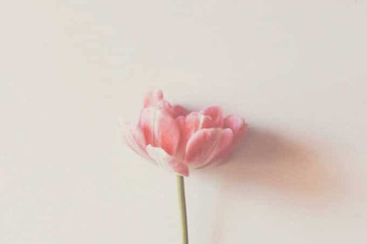 Playlist: 2019 Vol.III - Love Songs