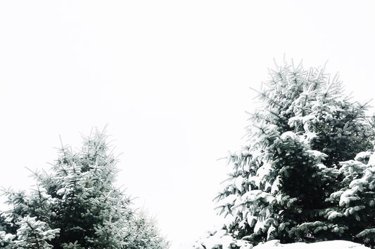 Playlist: Christmas Vol.II