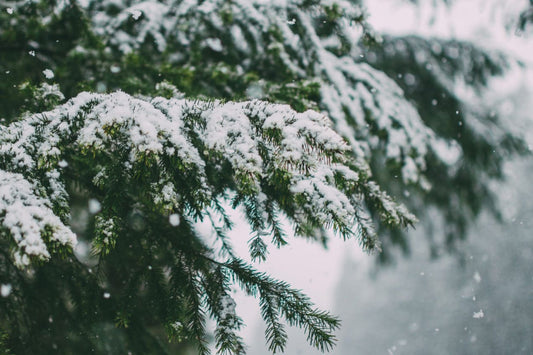 Playlist: Christmas Vol.III