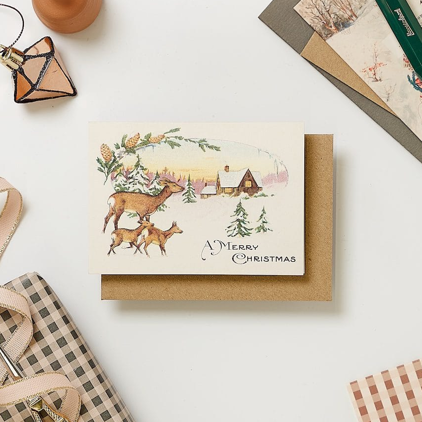 Pack of 6 Relove Deer With Fawn Christmas Cards