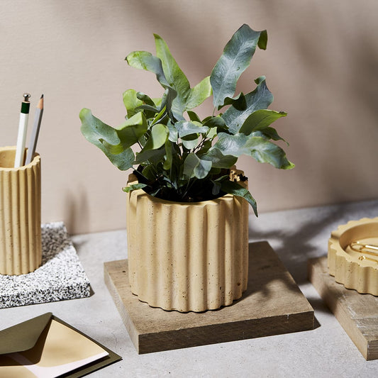 Object III in Desert Sand