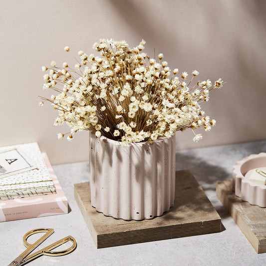 Object III in Pink Clay