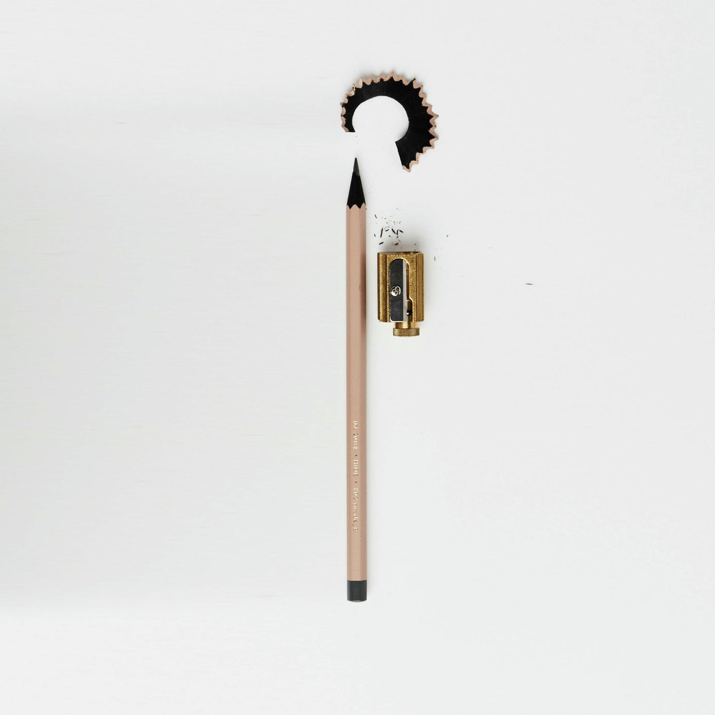 Hidden Zebra Notebook