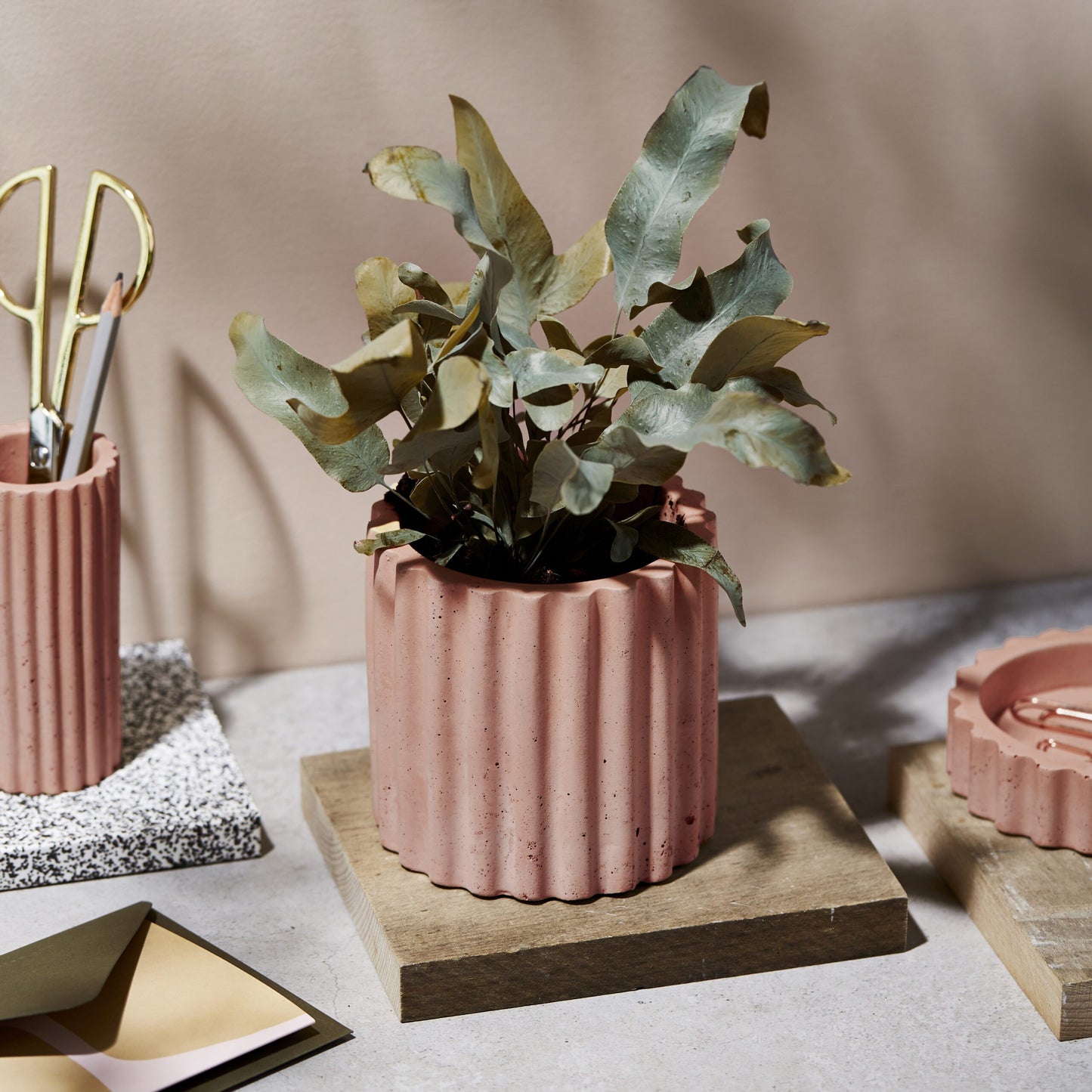 Concrete Plant Pot in Oi Oi Saveloy